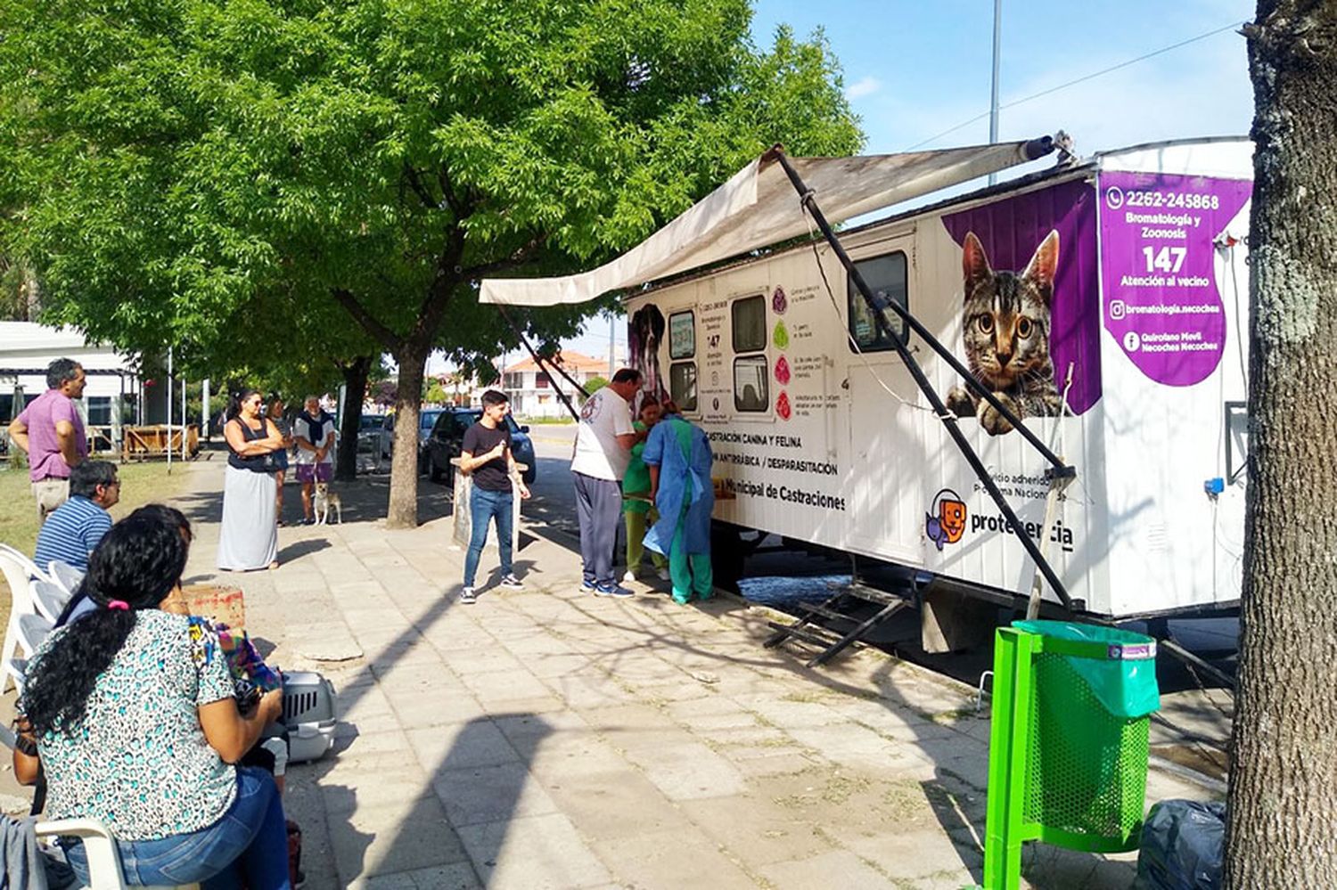 El quirófano móvil de castración gratuita permanece en el parque