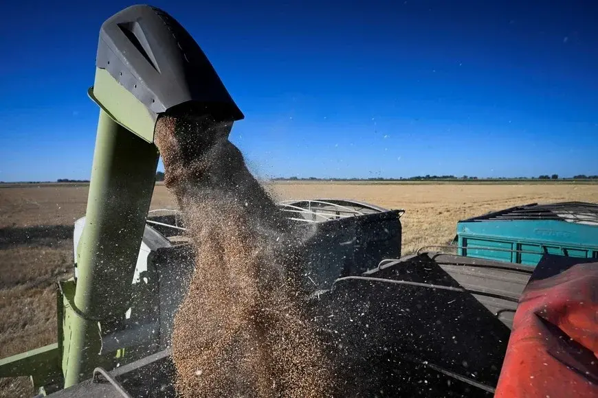 La cosecha de trigo apunta a la segunda mayor producción de los últimos 17 años