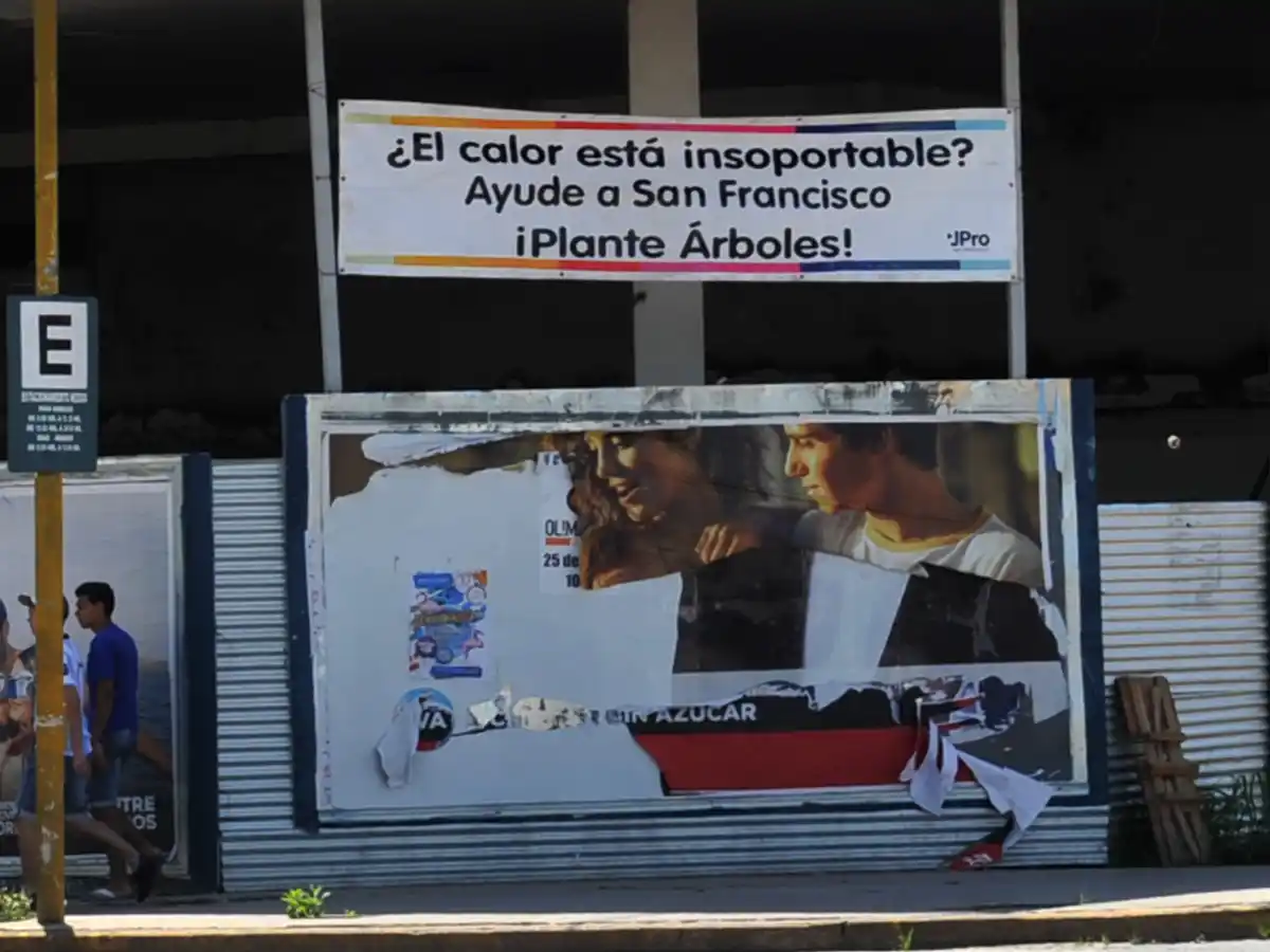  Árboles por útiles: la campaña del PRO contra la deforestación  