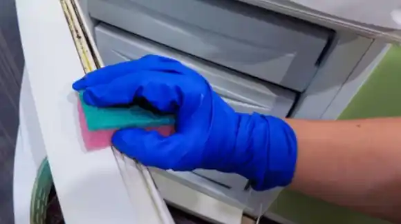 El truco casero para eliminar el moho de la goma de la heladera sin productos químicos