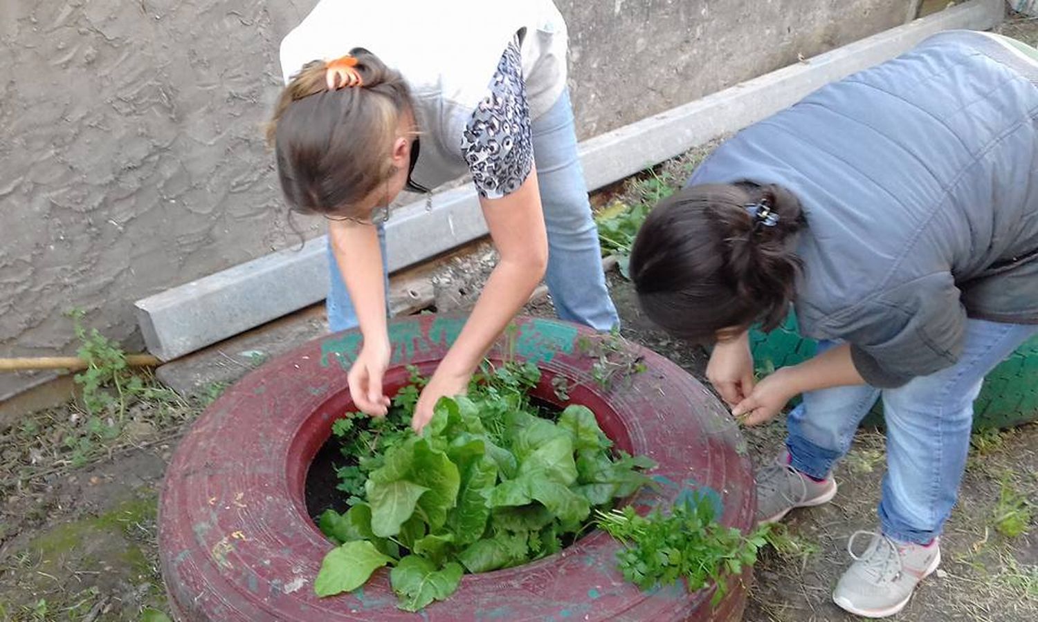 La satisfacción de comer lo cosechado por nuestras manos