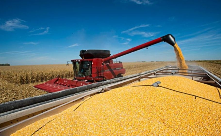 El anuncio fue adelantado por el ministro de Economía, Luis Caputo.No obstante, la soja, el maíz, y el girasol volverán a pagar los derechos de exportación que existían antes de la rebaja temporal.