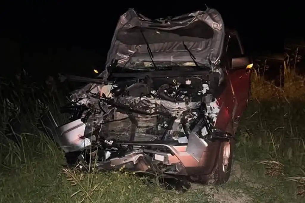 Accidente en Ruta 39: una familia de la región chocó contra con un animal vacuno