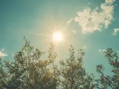 El sol cruza el Ecuador: qué significa el equinoccio de marzo para Argentina