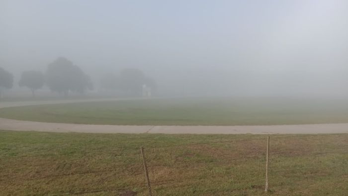 niebla mas