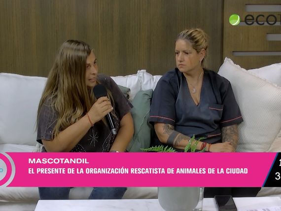 El presente de Mascotandil