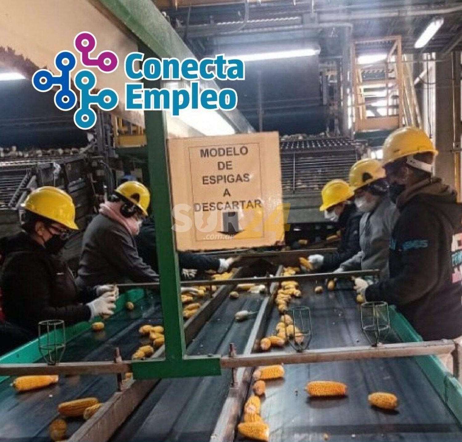 El gobierno municipal lanza un curso de Operario de Semillero para Procesamiento de Semillas