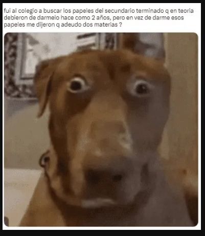 alumno - 2