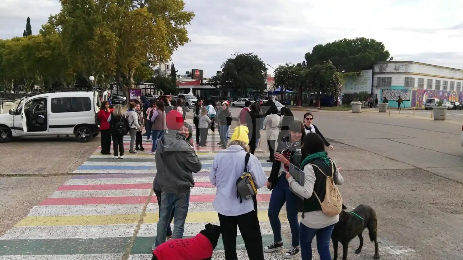 Se realizó el abrazo simbólico para pedir por castraciones masivas y gratuitas