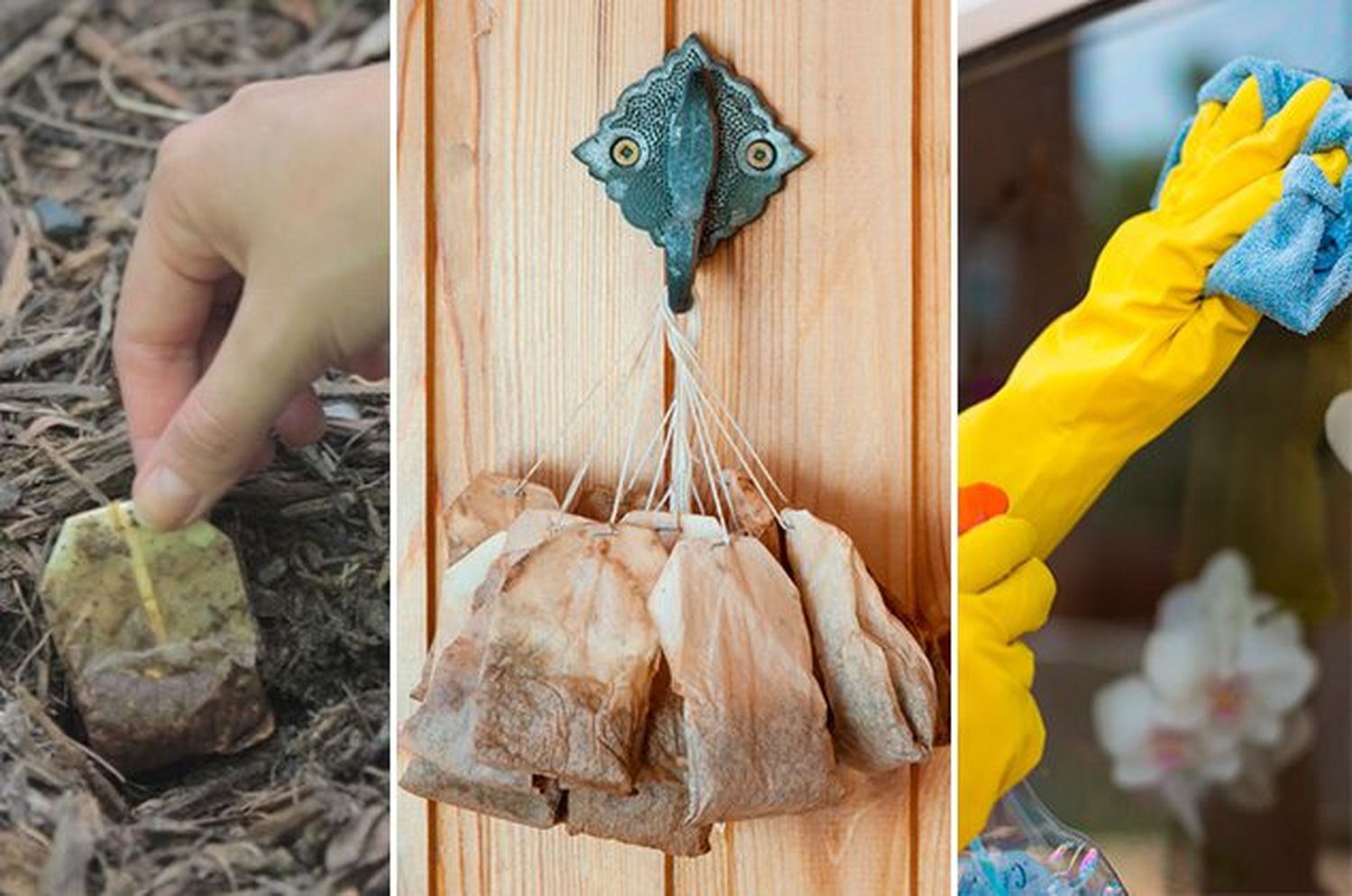 3 formas de reutilizar las bolsitas de té