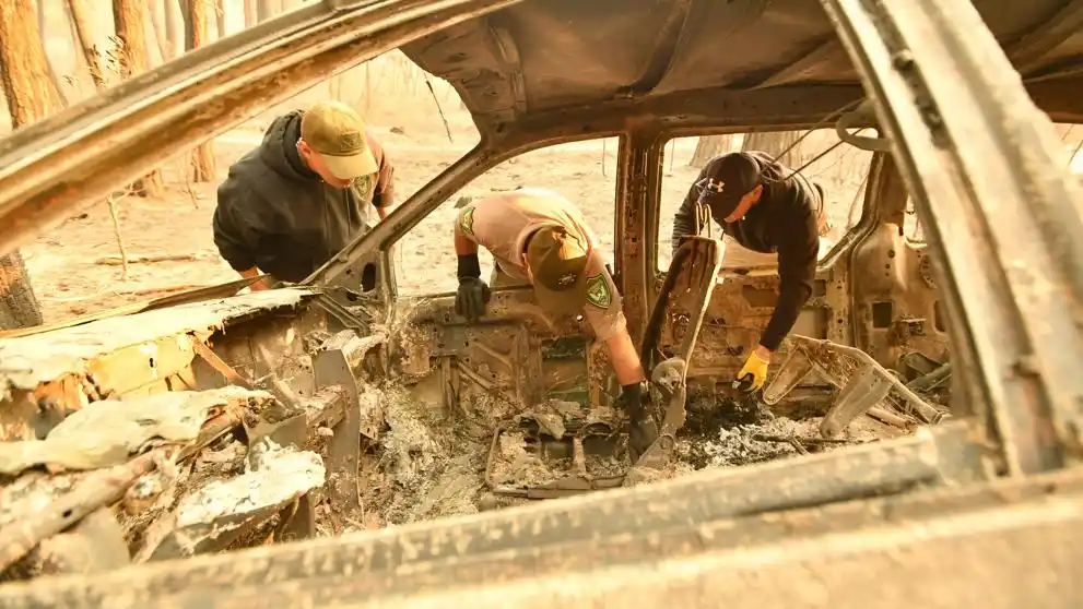 Se elevan a 31 los muertos por el incendio de California