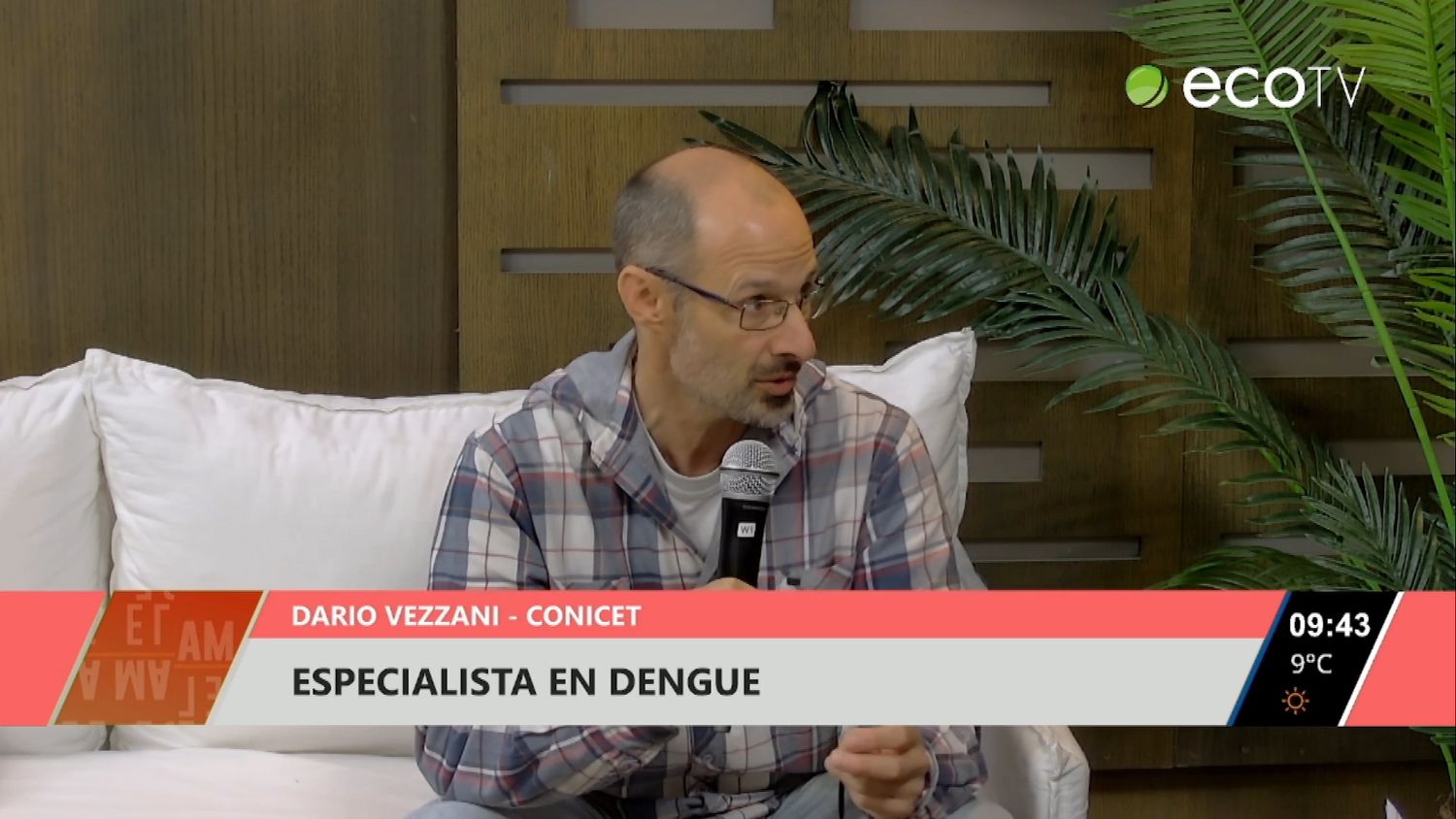 Situación y proyección del dengue para el próximo verano