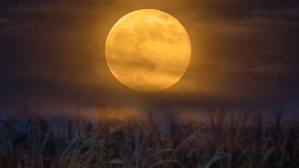 Así  afectará la Luna llena en Leo a los argentinos