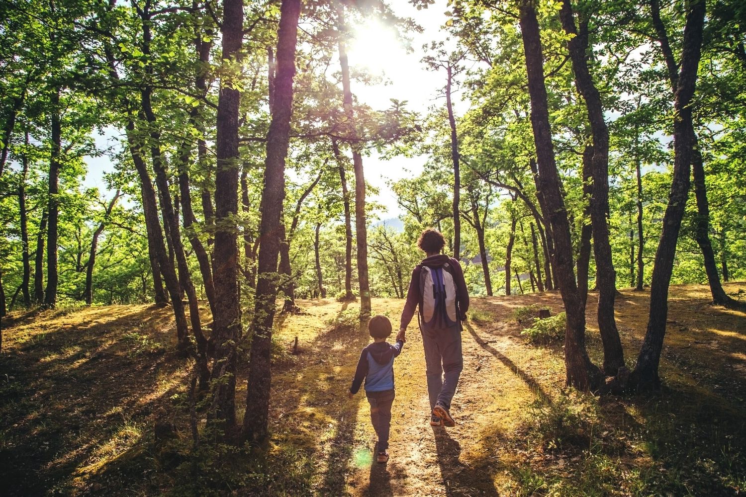 Un ambiente equilibrado y sano para cuidar de nuestra salud