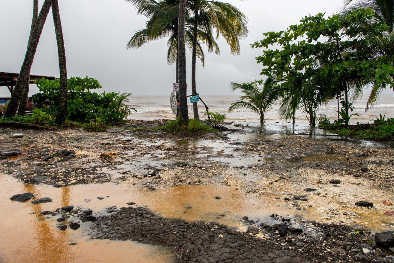 “A OSCURAS Y CON RÍOS DESBORDADOS”: así deja Fiona a Puerto Rico y se enfila a Dominicana