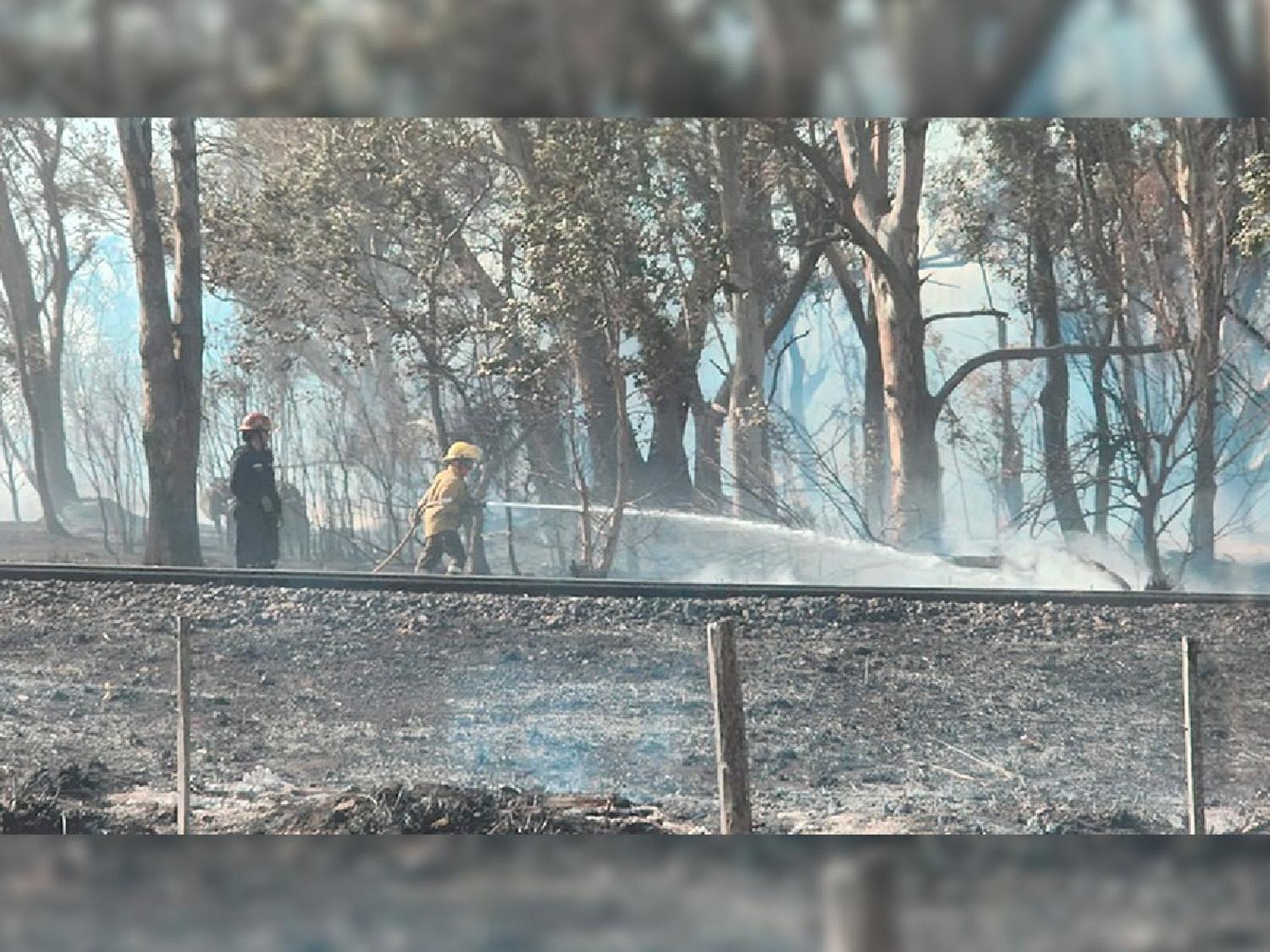 Siete dotaciones de bomberos combatieron incendio de campo a la vera de la ruta 19