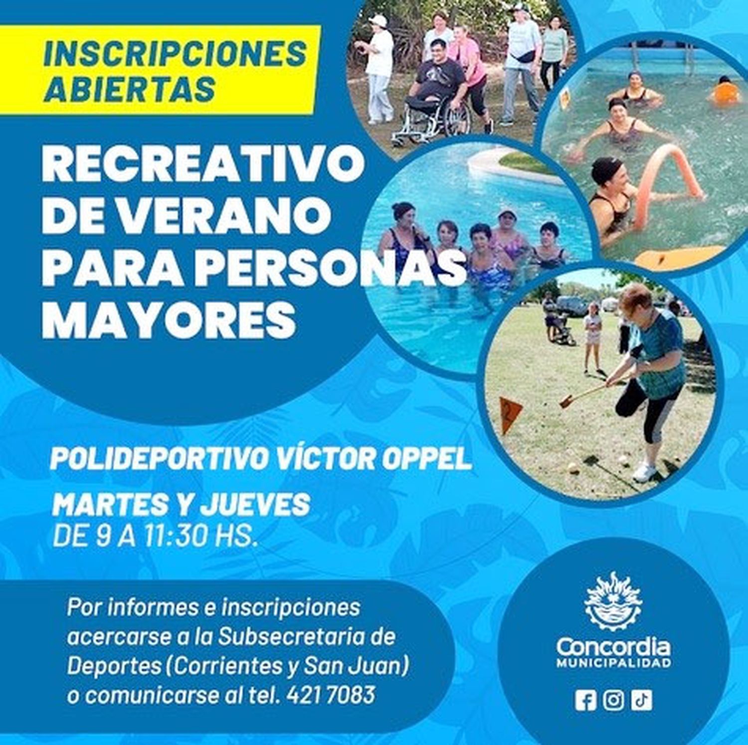 Recreativo para adultos mayores