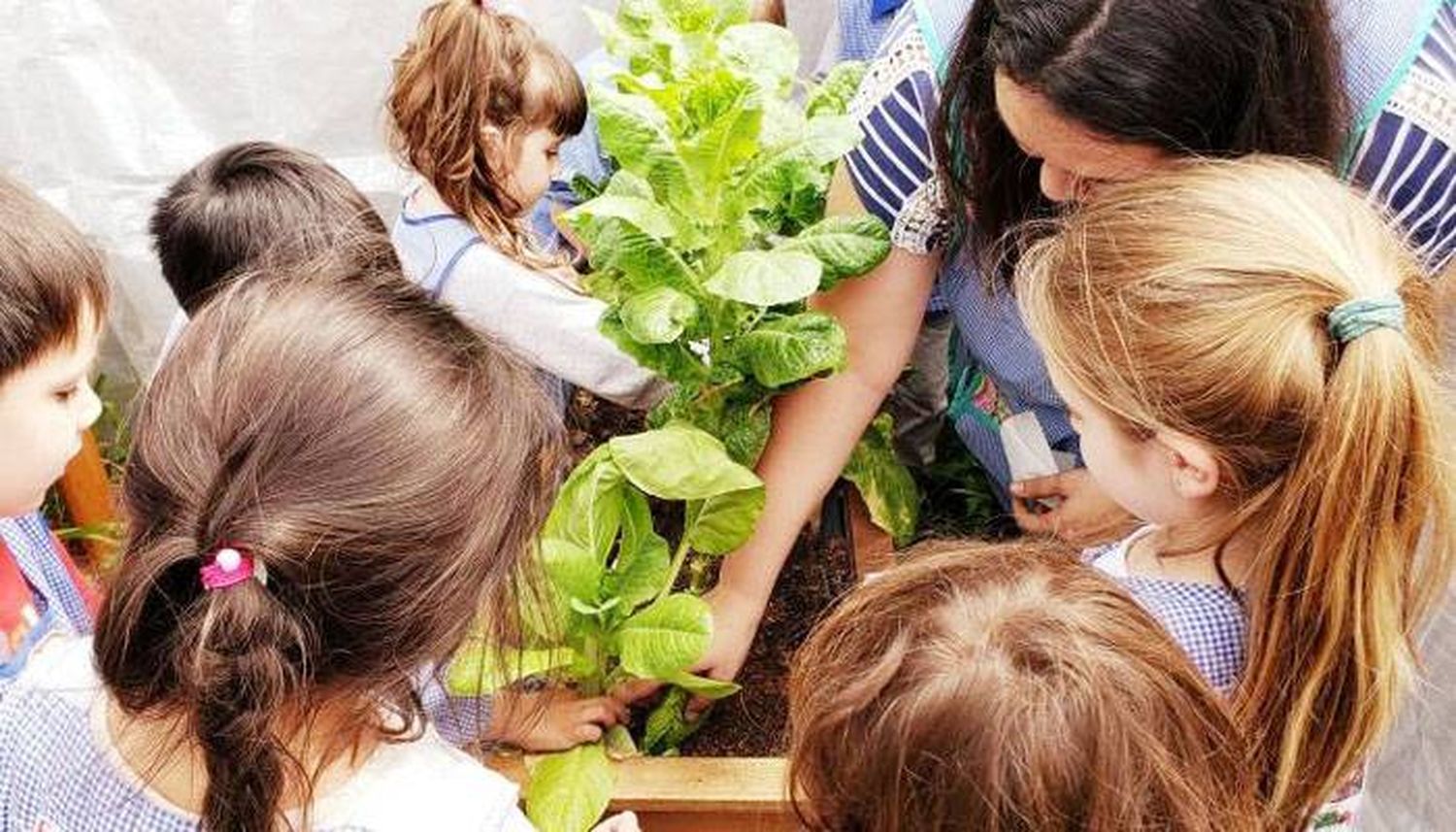 Se abren las inscripciones para el programa  municipal �Sred de escuelas sustentables 2023⬝