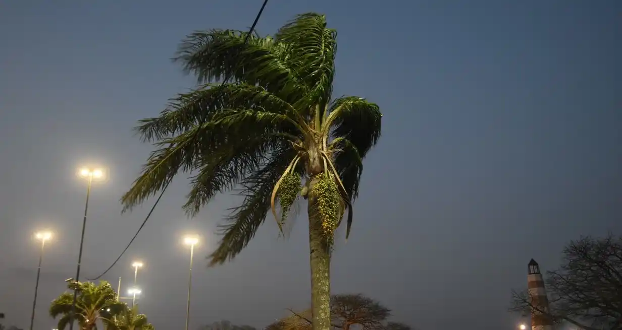 Se esperan ráfagas que pueden alcanzar los 65 km/h. Crédito: Manuel Fabatía
