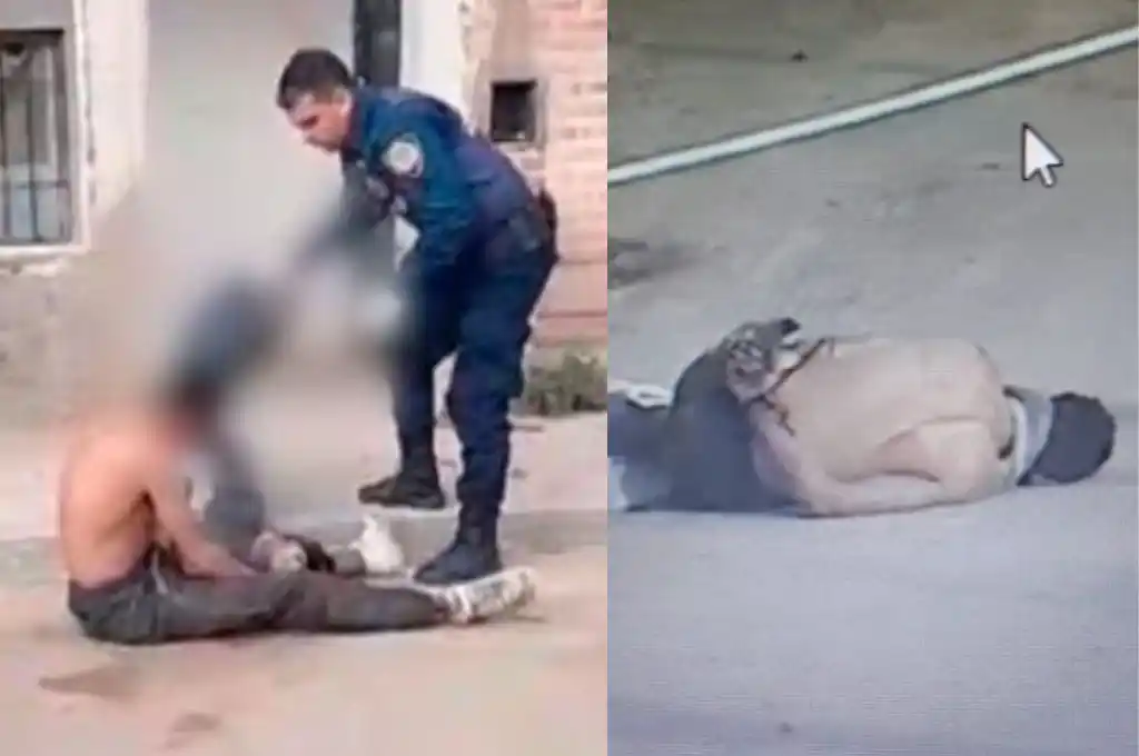 En uno de los hechos, vecinos ataron con una soga al delincuente.