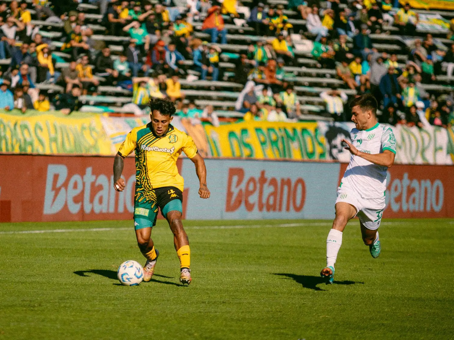 Aldosivi