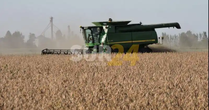 Impuesto a la renta inesperada: “Lo van a pagar los productores”