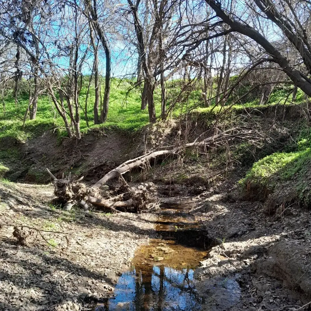 Descubrí la belleza natural de la Comuna de Merou-Eigenfeld a través del deporte