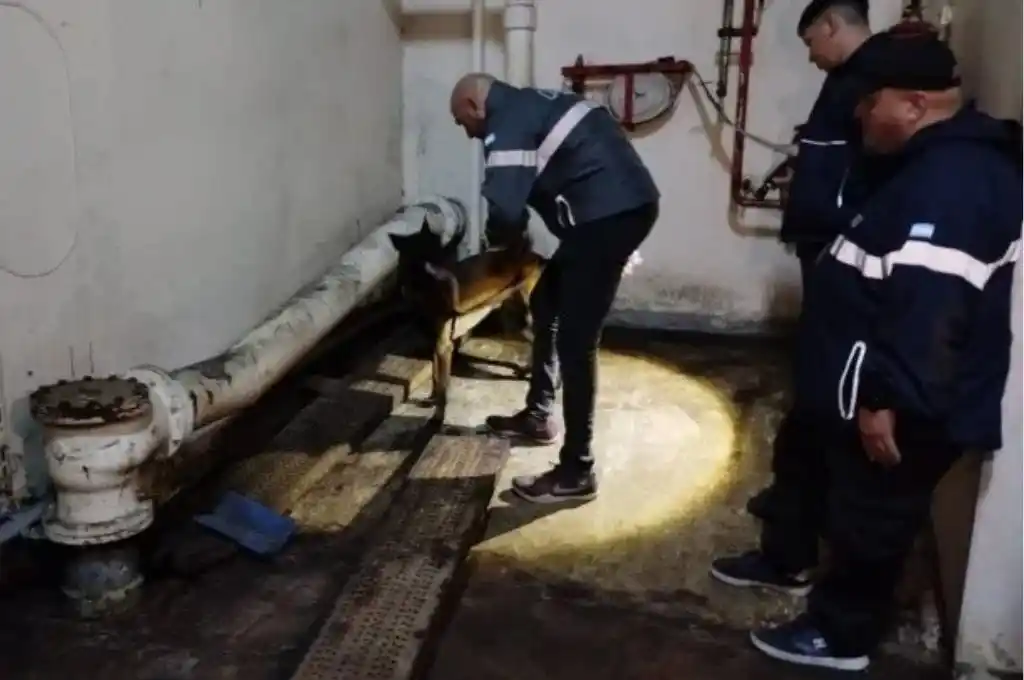 Se descubrió un paquete escondido debajo de una tubería de agua.