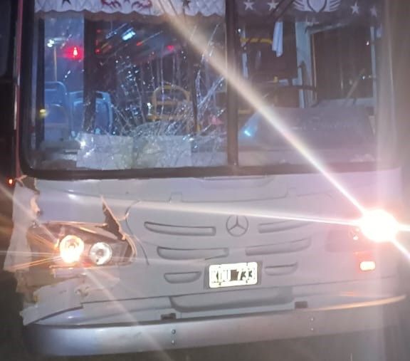 Micro sin pasajeros colisionó contra caballo suelto en Lucio Mansilla