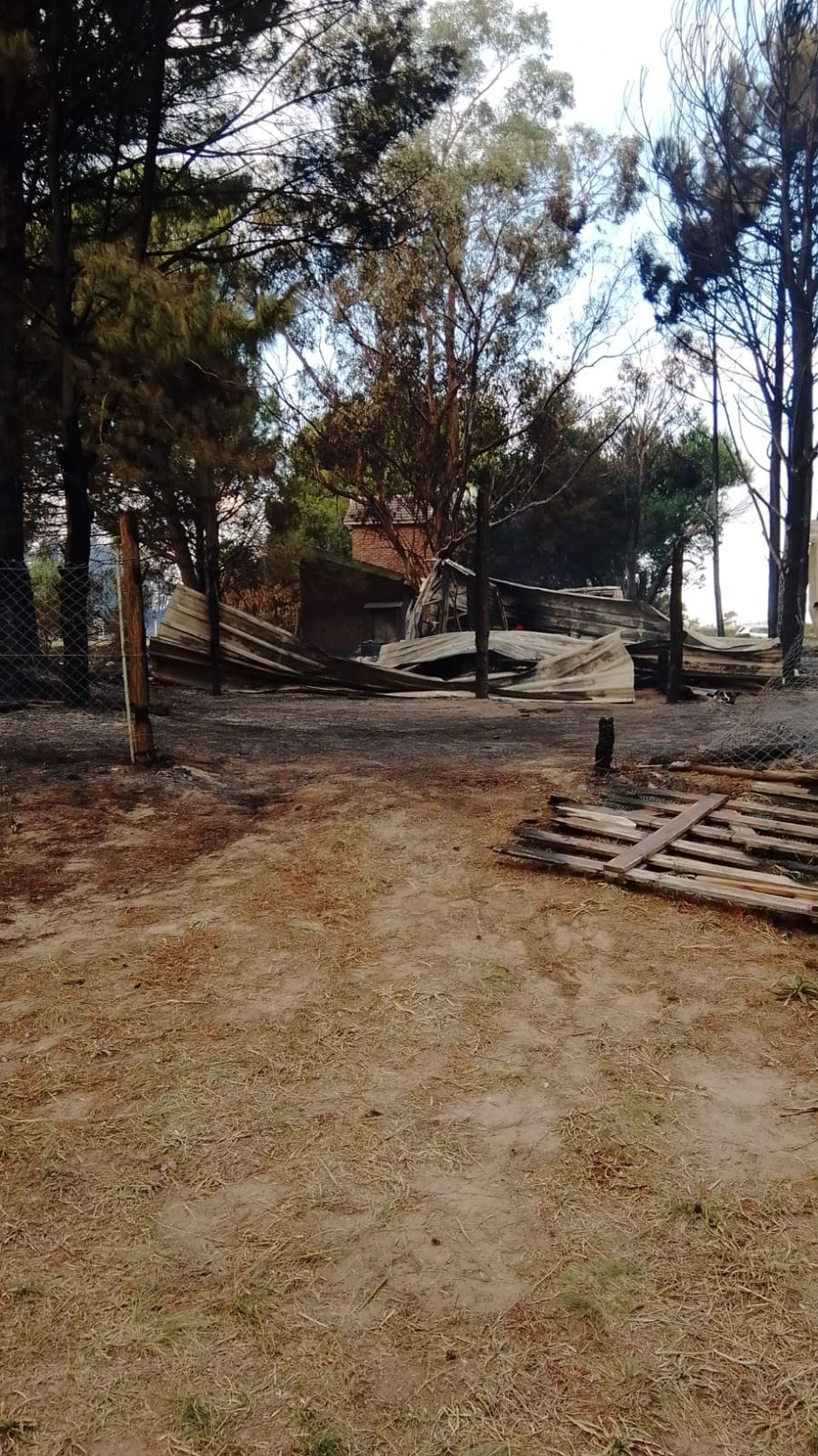 Quien desee ayudar a Murguet, puede hacerlo o con materiales de construcción o con dinero para comprarlos.