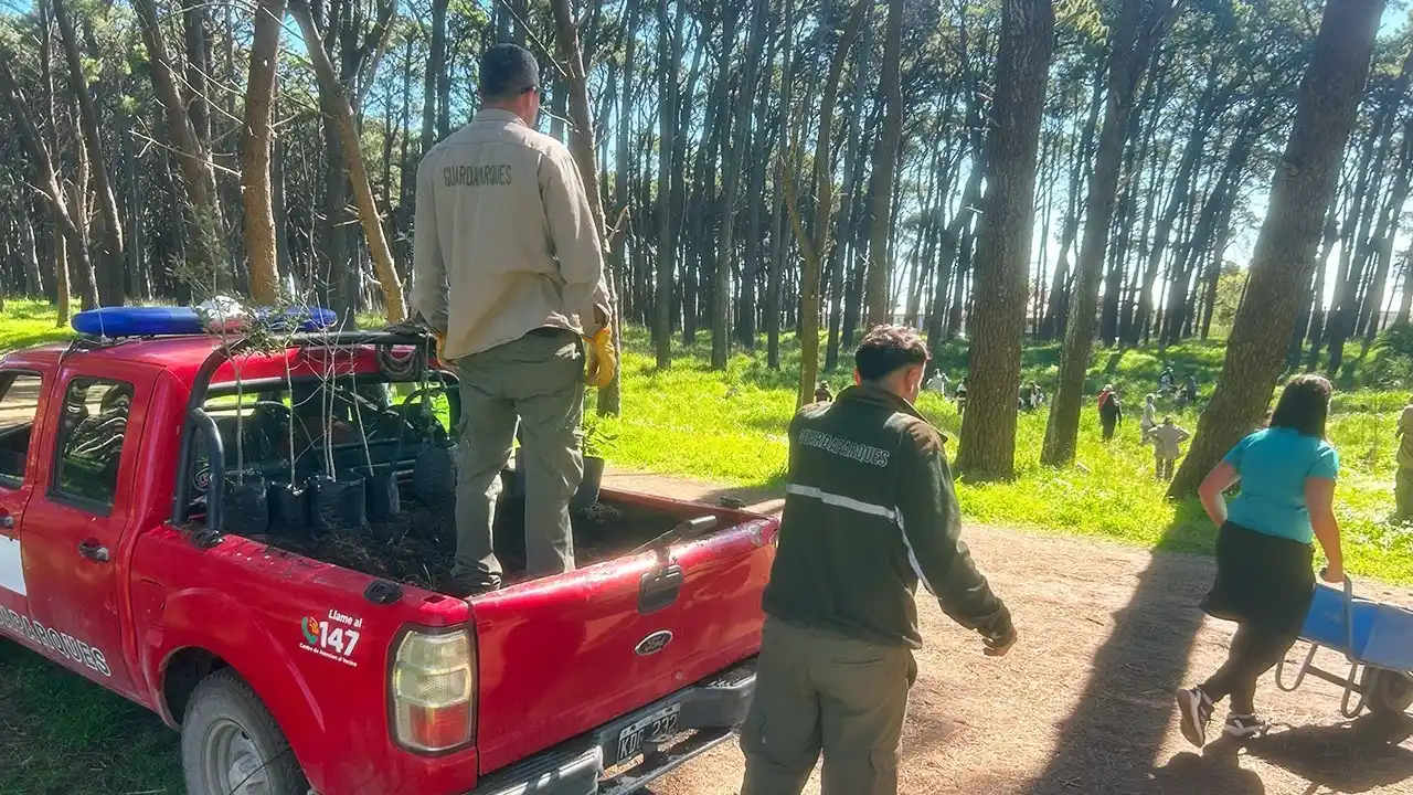 En plena tarea. Plantaron robles y encinas a la altura de la calle 103 en el Parque