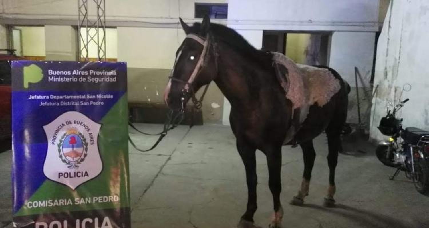 Montados a caballo, robaron y fueron detenidos