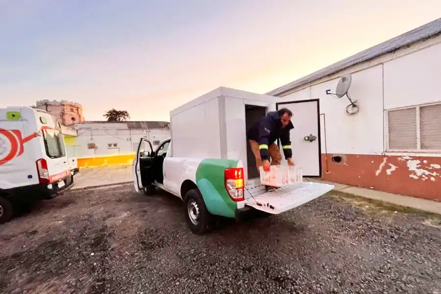 Productores iniciaron la venta de leche pasteurizada