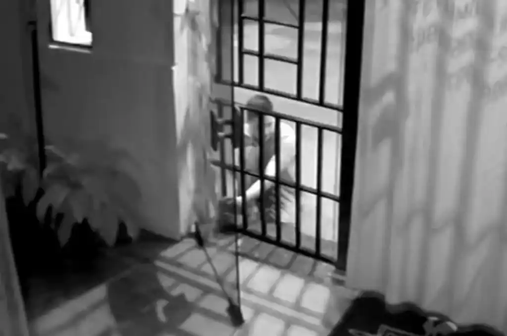 Una de las imágenes captada por las cámaras de seguridad