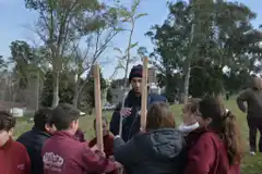 Con una jornada de forestación, inició la Semana del Árbol 2023