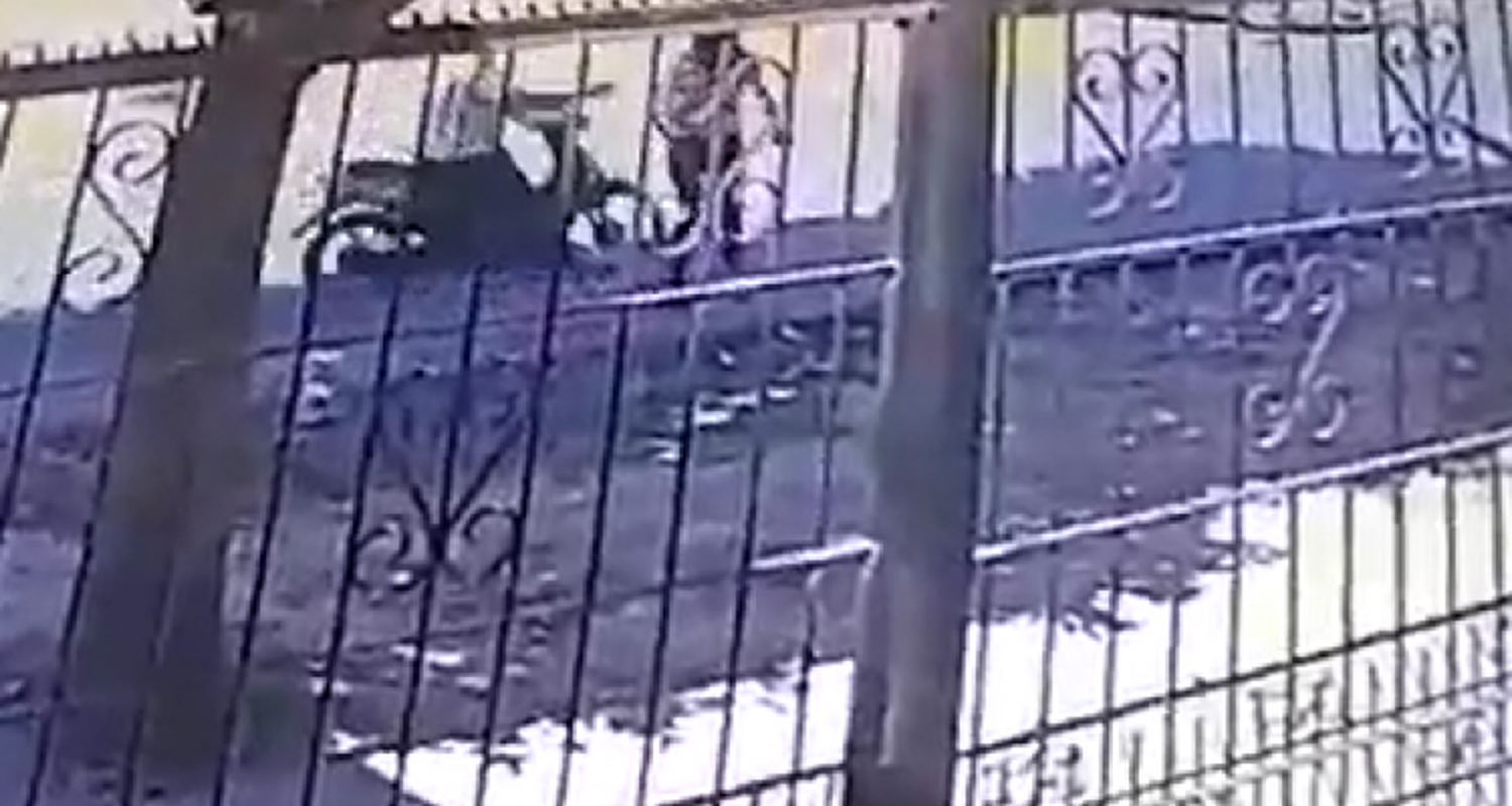 Motochorro atacó a una joven en la vía pública y fue registrado por cámaras de seguridad