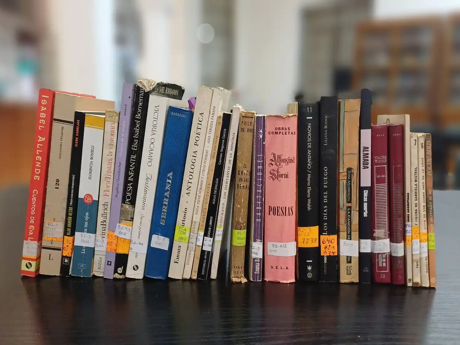 Homenaje a escritoras en la Biblioteca Provincial de Entre Ríos