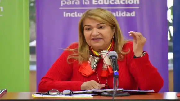 LE DIJO DE TODO MENOS BONITA: lo que pide Antonio Ecarri para la ministra Yelitze Santaella