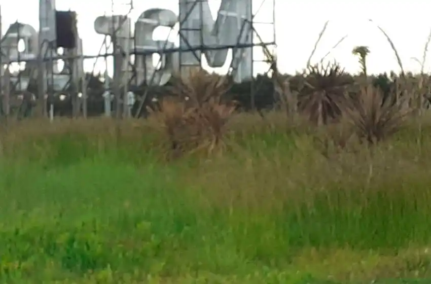 Exigen el mantenimiento y corte de pastos en las rutas 2 y 11