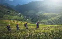 Medioambiente y género, los alcances y desafíos del Acuerdo de Escazú en materia de derechos para las mu