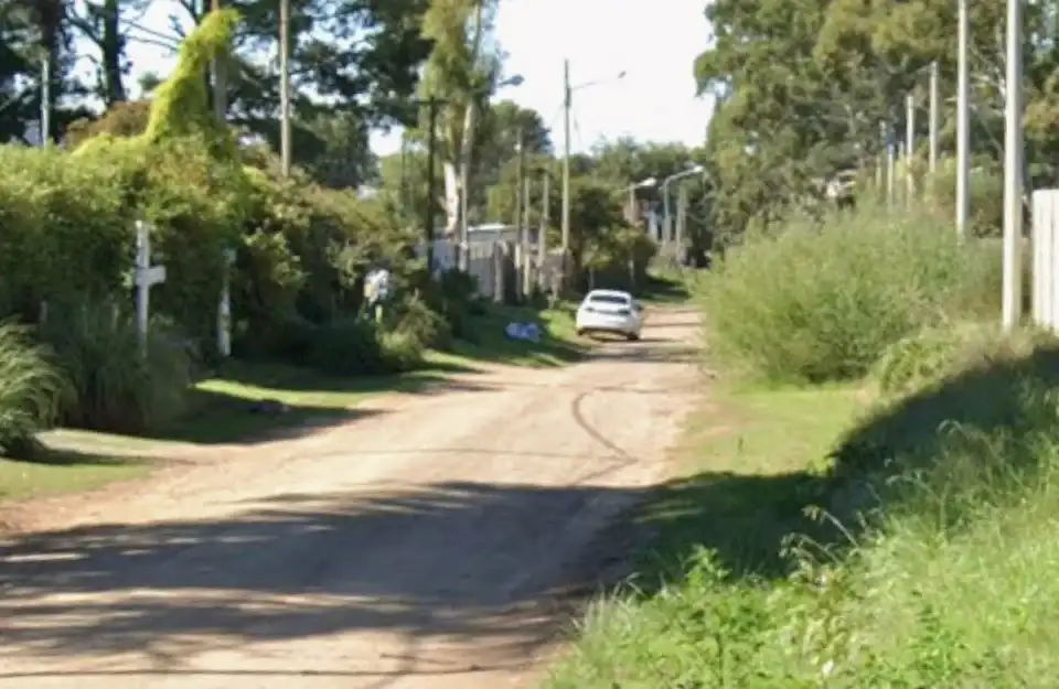 El Municipio rechazó un reclamo por daños provocados por la caída de una rama sobre un vehículo