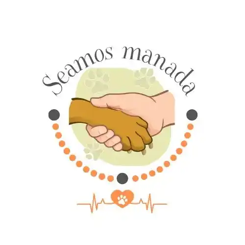 Seamos Manada: una red solidaria que transforma la vida de los animales más vulnerables
