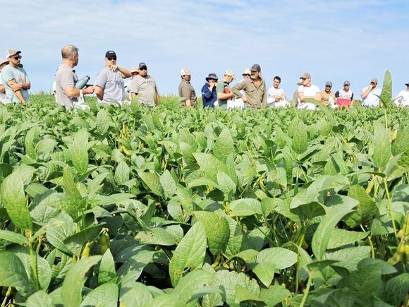 El Niño mantendría su neutralidad entre julio, agosto y septiembre