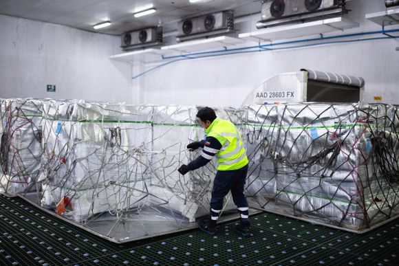 Aerosan prepara su logística de carga aérea para la temporada de fruta en Chile