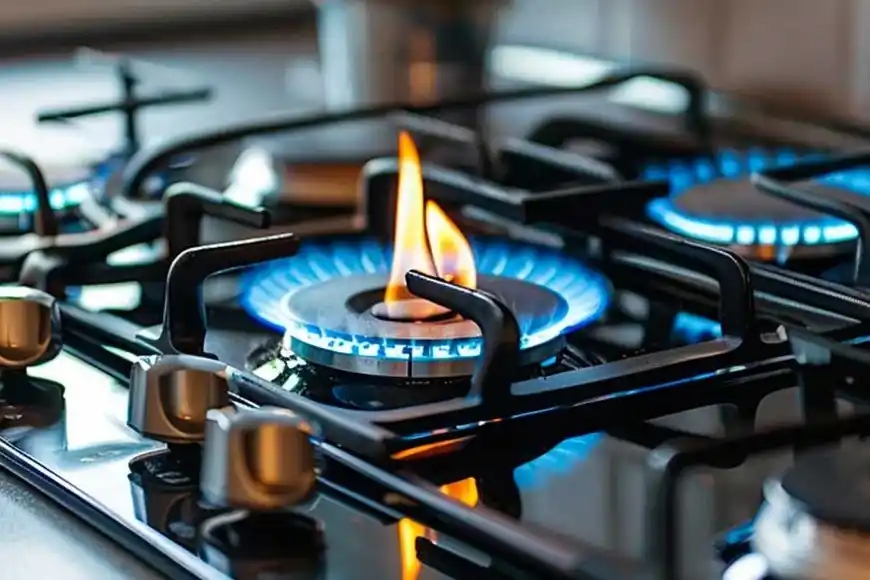 Santa Fe: solo el 30% se registró como usuario de bajos ingresos en el RASE.