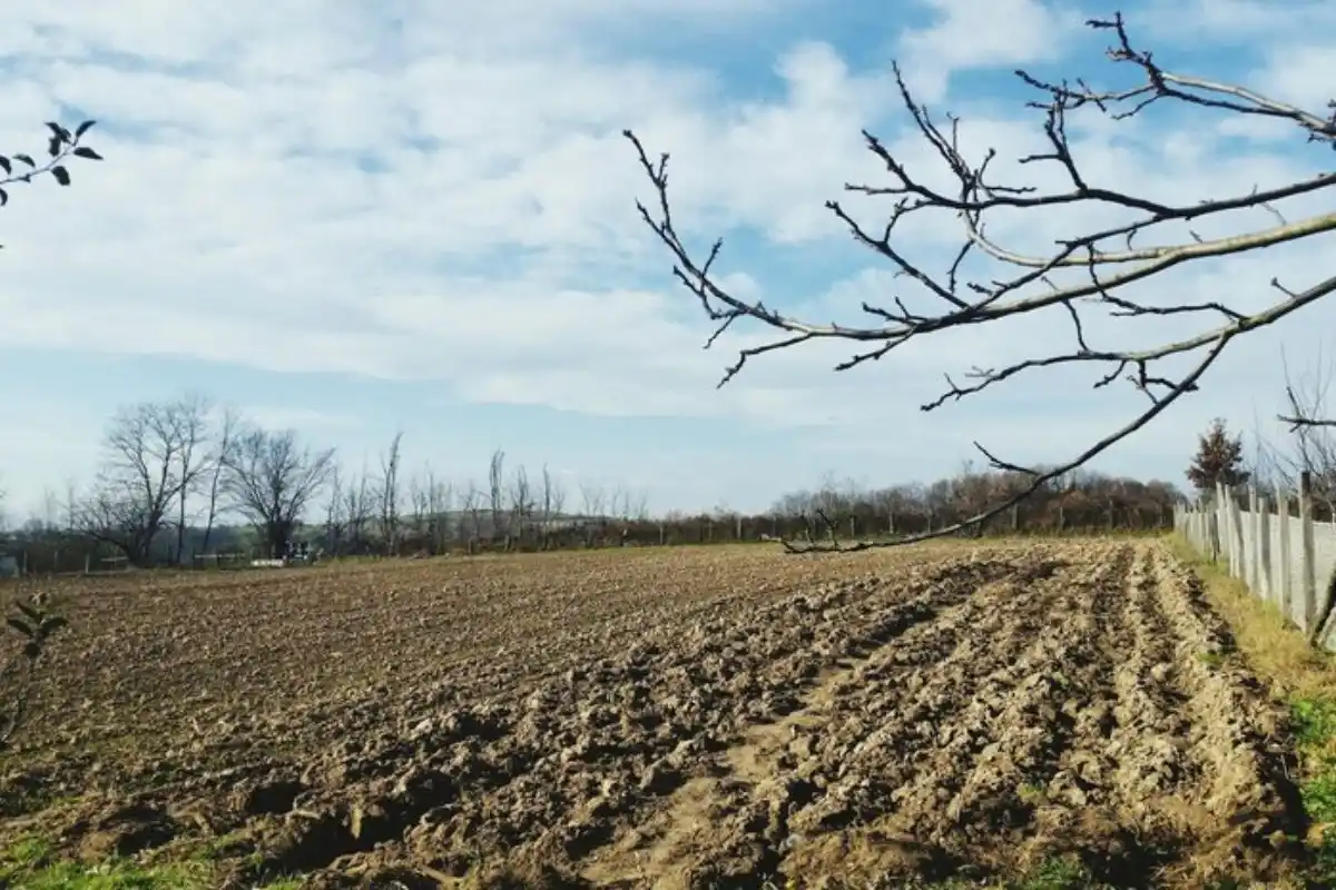 En esta oportunidad no se esperan consecuencias tan graves.