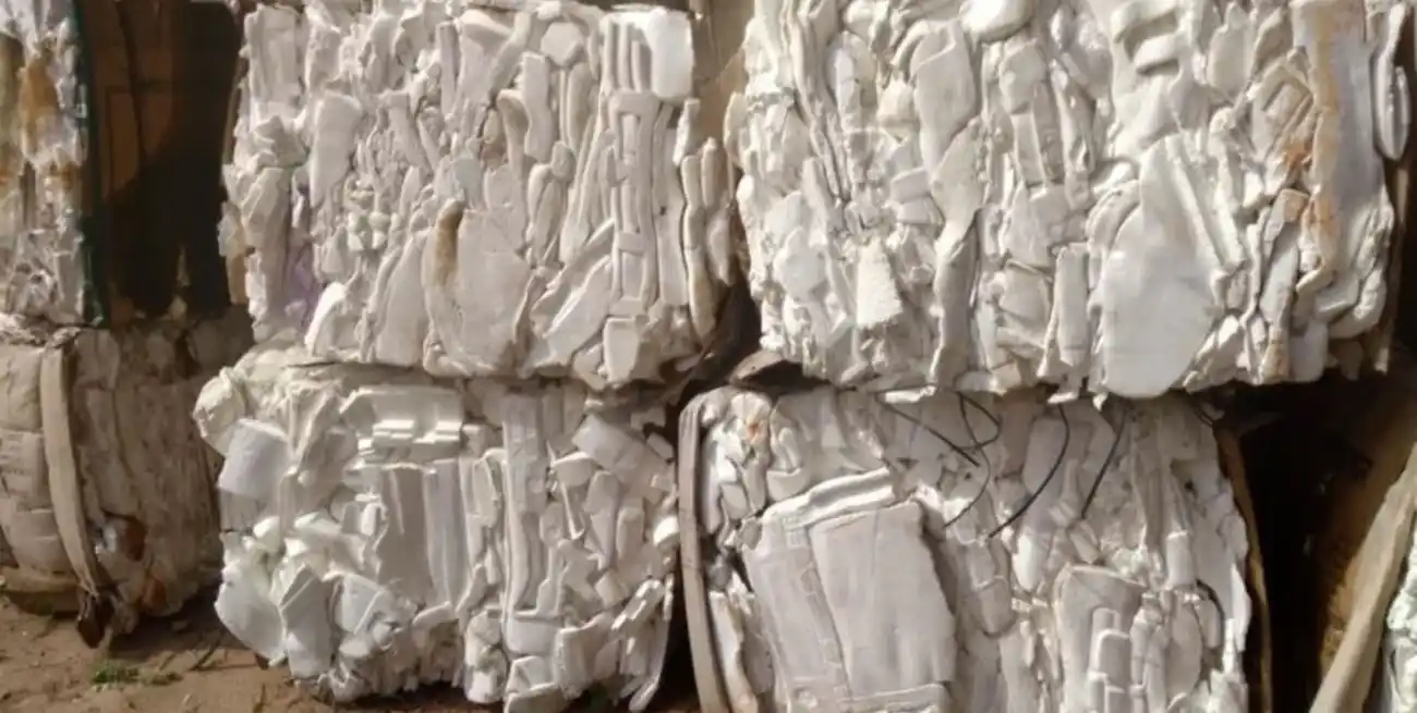 Los biocompuestos fibra-polímero basados en hongos se posicionan como una innovación reciente y una alternativa ecológica a los plásticos