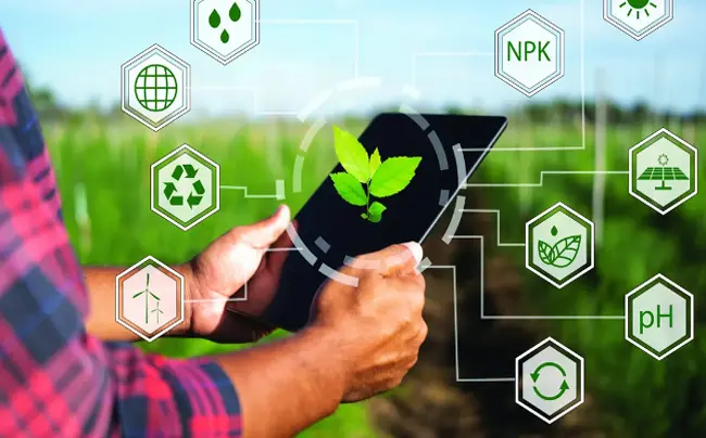 Clúster AgTech.