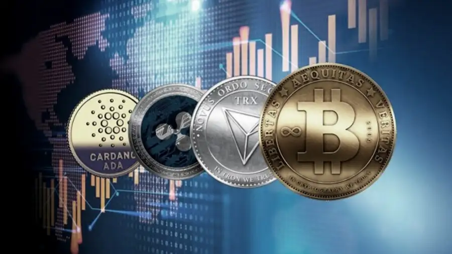 ¿Qué se puede comprar con criptomonedas en la Argentina?