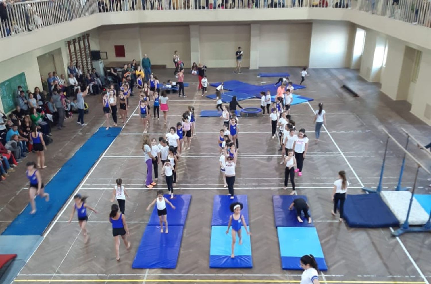 Se realizó la muestra anual de Gimnasia Artística en el CEF N°1